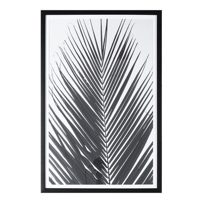 Monochrome Palm 91x61cm Framed Art