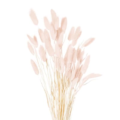 Faux Dried Pale Pink Bunny Tail Flowers Bunch Of 60