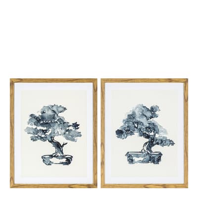Set of 2 Bonsai Ink Abstract Studies Framed Art