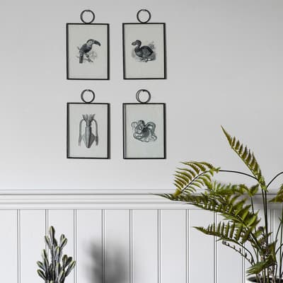Set of 2 Exotic Birds Hanging Art Prints