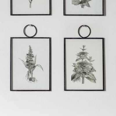 Set of 2 The Botanist Study I 15x25cm Hanging Art