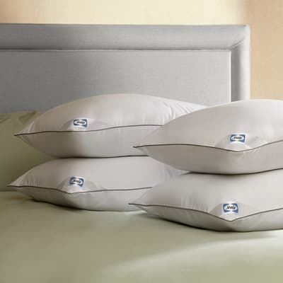 Anti Allergy Pack of 4 Pillows