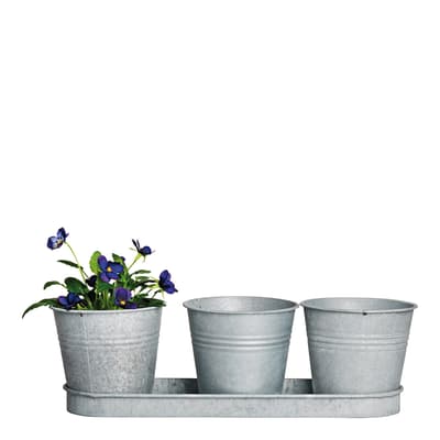 3 Pots On A Tray (Zinc)