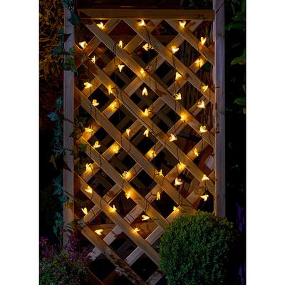 Buzzy Bee Solar Lights Set of 50