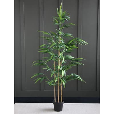 Bamboo, 180cm