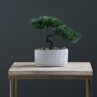 Bonsai Tree In Textured Cement Pot, 26cm