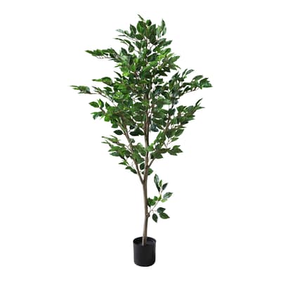 Real Touch mini Ficus Tree, 155cm