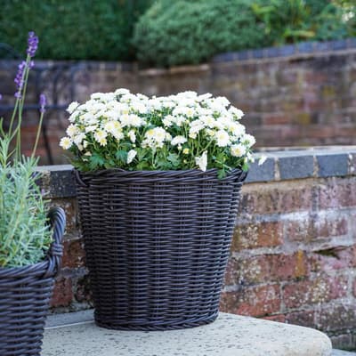 Polyrattan Willow Lined Planter