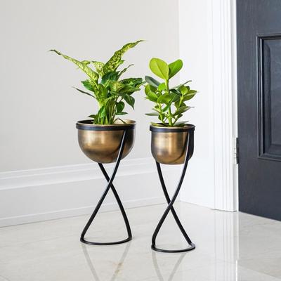 Indoor Kensington Brass Metal Round Planter on Stand, 14cm