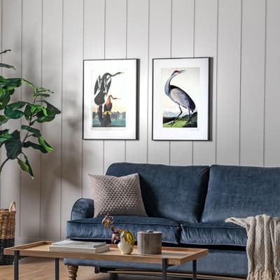 Set of 2 Exotic Fowl Study 70.5x50.4cm Framed Art