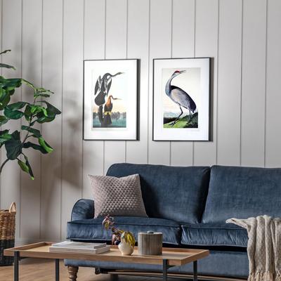 Set of 2 Exotic Fowl Study 70.5x50.4cm Framed Art