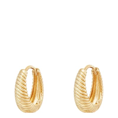 18K Gold Plated Aral Earrings