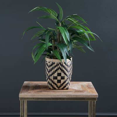 Bamboo in Black & Natural Woven Pot, 60cm