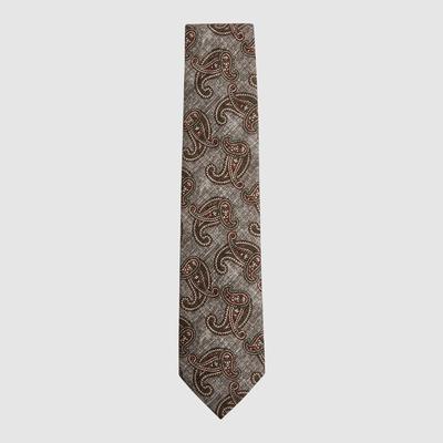 Grey Galaxy Paisley Print Silk Blend Tie