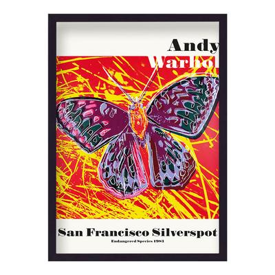 Endangered San Francisco Silverspot 44x62cm Framed Print