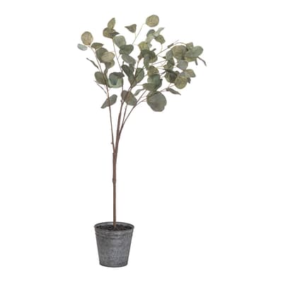 Faux Potted Eucalyptus Tree