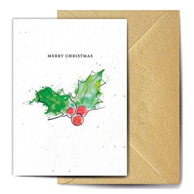 Pack of 5 Continuous Seed Cards, Holly