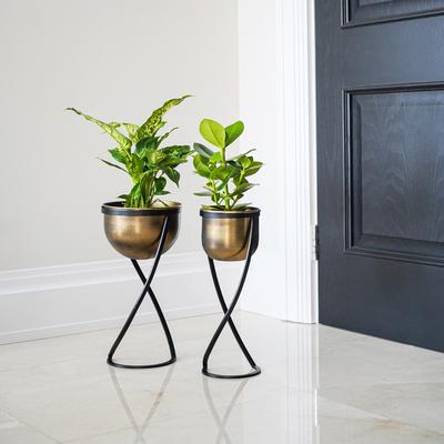 Indoor Kensington Brass Metal Round Planter on Stand