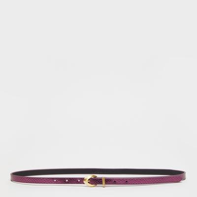 Fuchsia Orinoco Belt