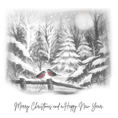 Pack of 12  Robins Christmas Cards