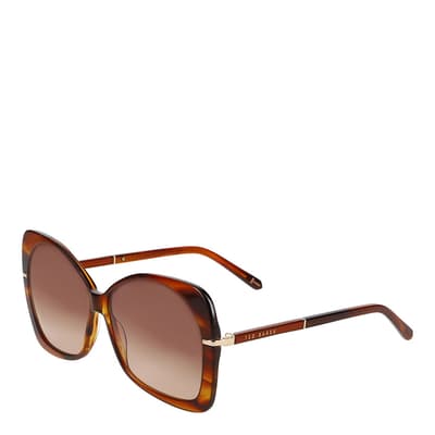 Women's Brown Ted Baker Sunglasses
