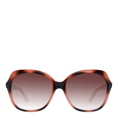 Women's Brown Ted Baker Sunglasses 56mm