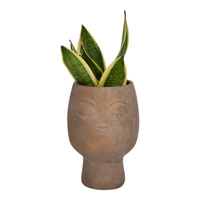 Ava Face Concrete Planter, Large