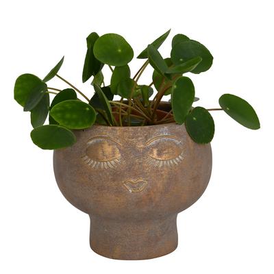 Ava Face Concrete Planter, Small