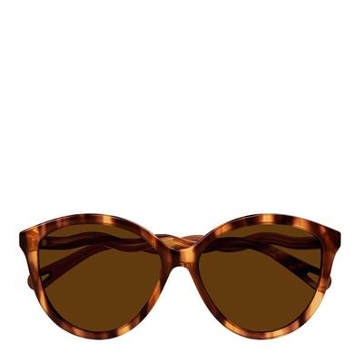 Women's Brown Chloe Sunglasses 57mm