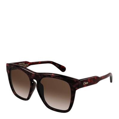 Women's Brown Chloe Sunglasses 56mm