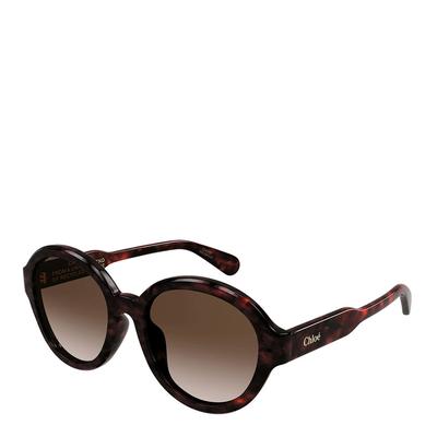 Women's Brown Chloe Sunglasses 54mm