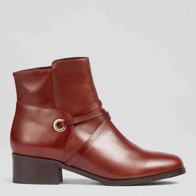 Alba Tan-Tan Ankle Boots