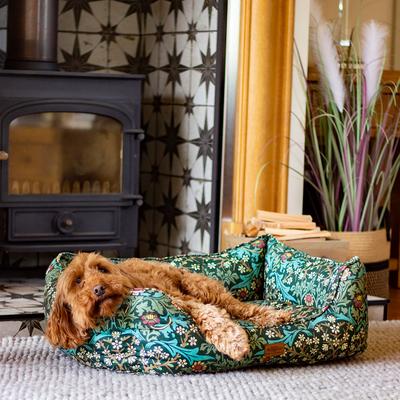 Philipp plein hotsell dog bed