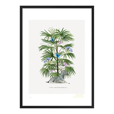 Zebra Palm