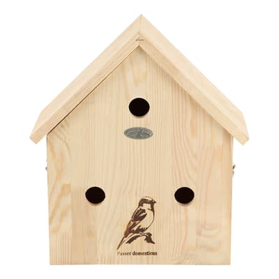 Bird House, Sparrow Silhoutte