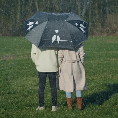 Lovers Umbrella