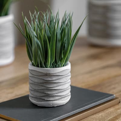 Set Of 2 Grass in Wavy Pot, Small