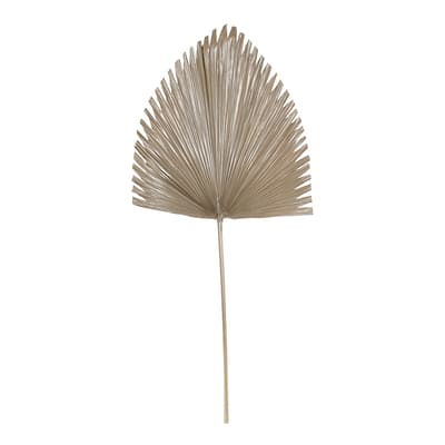 Arrowhead Palm Leaf, Brown