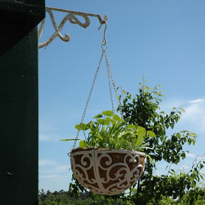 Hanging Basket, 30cm