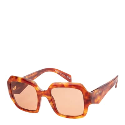 Women's Brown Prada Sunglasses 53mm