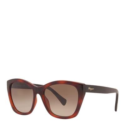 Women's Brown Salvatore Ferragamo Sunglasses 56mm