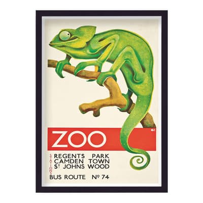 Vintage London Transport Zoo Green Chameleon Print