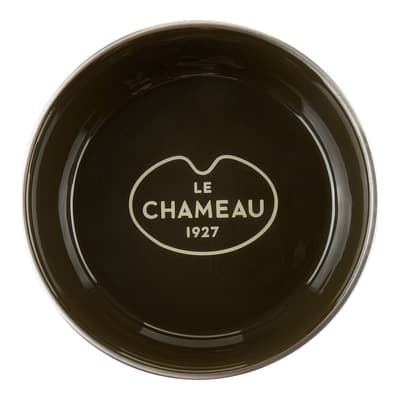 Stainless Steel Dog Bowl, Vert Chameau