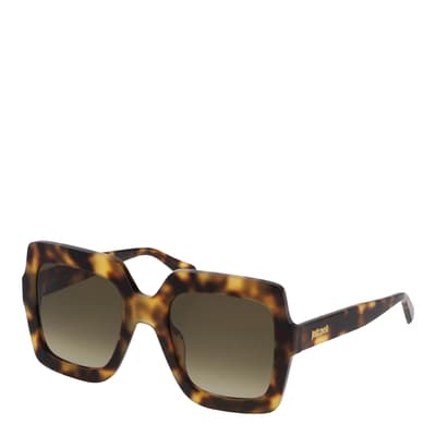 Women's Just Cavalli Brown Sunglasses 53mm