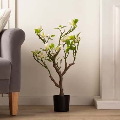 70cm Tabletop Real Touch Magnolia Tree Cream