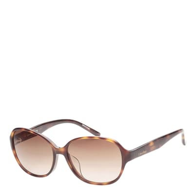 men's Calvin Klein Brown Sunglasses 56mm
