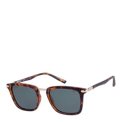 Men's Brown Cat Sunglasses 52mm