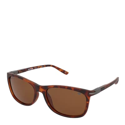 Men's Brown Cat Sunglasses 57mm