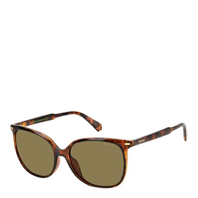 Havana Square Sunglasses 57mm