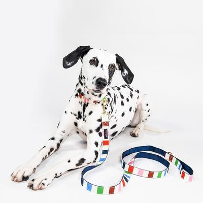 Leash (M/L), Adventure Stripe